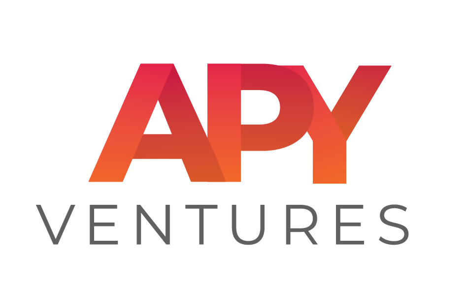APY Ventures Logo